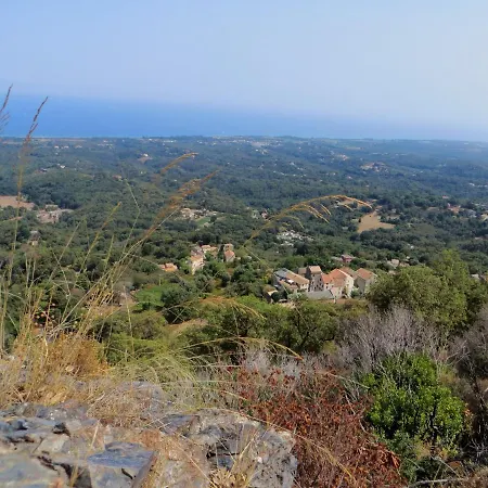 Amanda * Santa-Lucia-di-Moriani